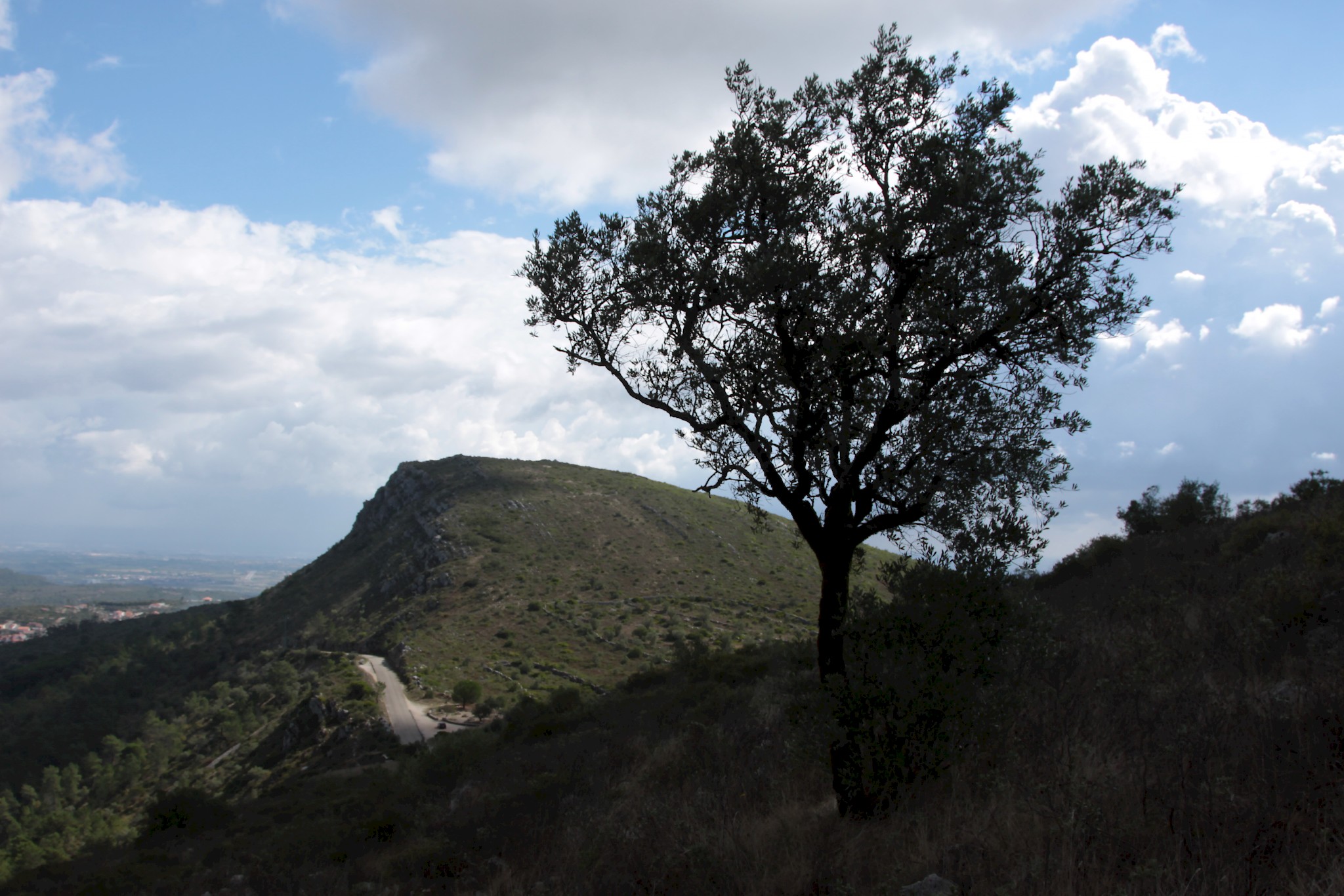 Serra de Santo António GreenTrekker.pt