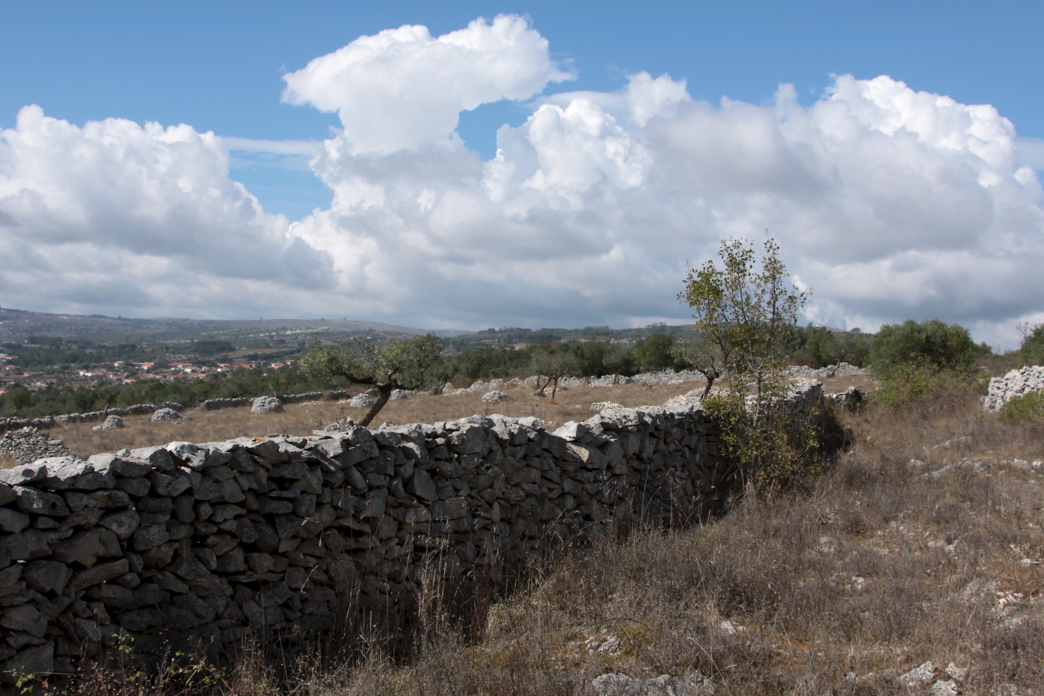 Serra de Santo António GreenTrekker.pt