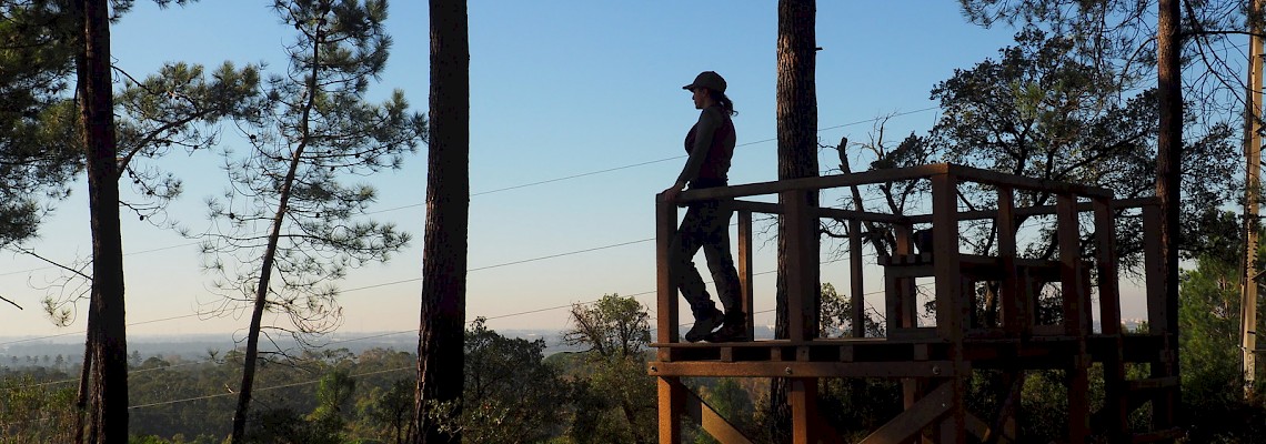 À descoberta da Mata da Machada e do Sapal do Rio Coina