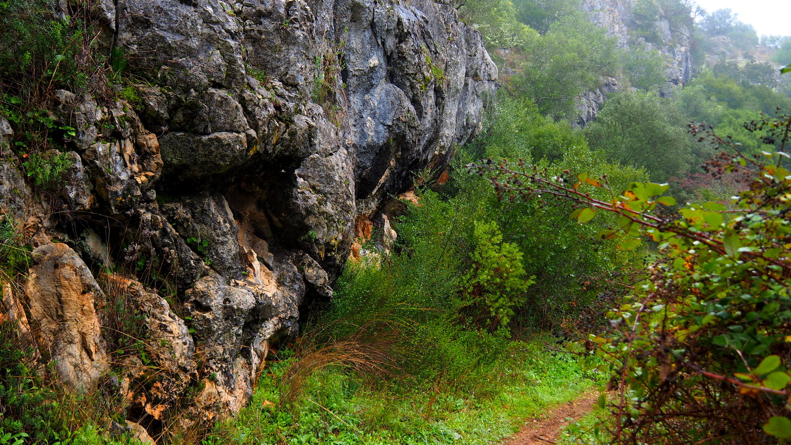 da-montanha-ao-atl-ntico-furadouro-tomar-pegadas-de-dinoss-urios