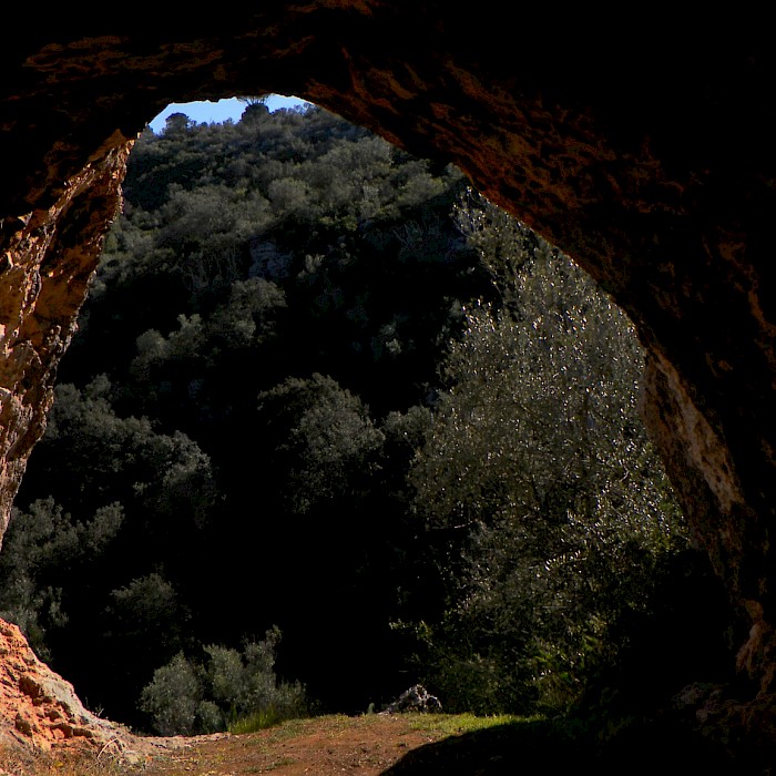 da-montanha-ao-atl-ntico-furadouro-tomar-pegadas-de-dinoss-urios