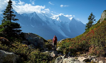 Alpes - TMB - Tour du Mont Blanc