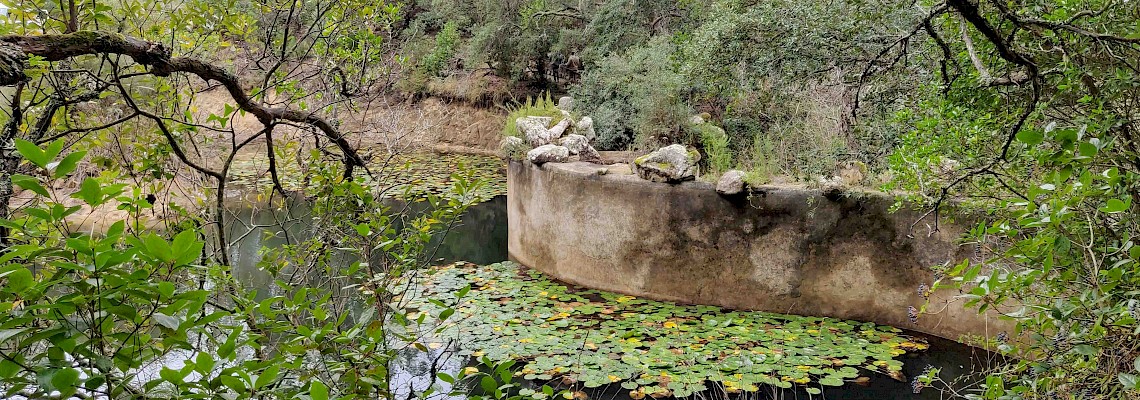 Rochedos e Lagoas da Serra de Sintra