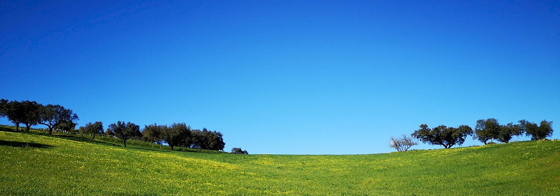 Vila Viçosa : do Palácio Ducal aos trilhos da Serra d'Ossa