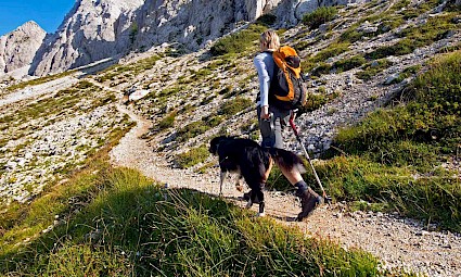 Dog Trekking na Barragem do Rio da Mula