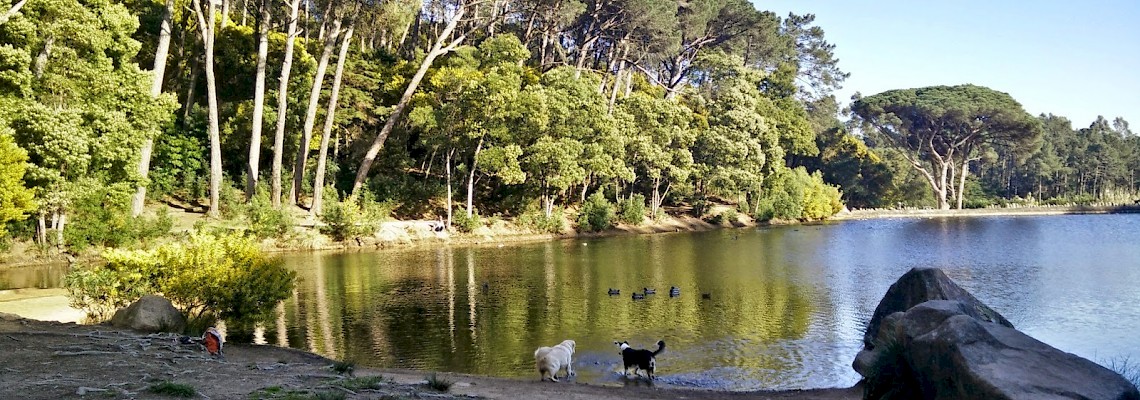 Mistérios da Lagoa Azul