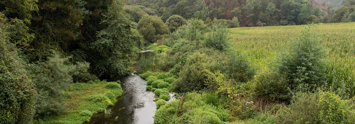 Pelos Moinhos do rio Antuã/Oliveira de Azemeis