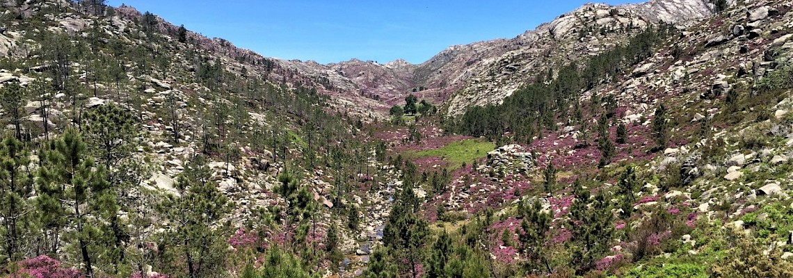 Passagem de Ano no Parque Nacional da Peneda Gerês
