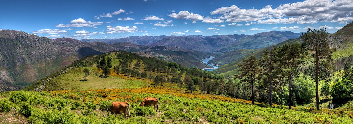 Gerês na Primavera
