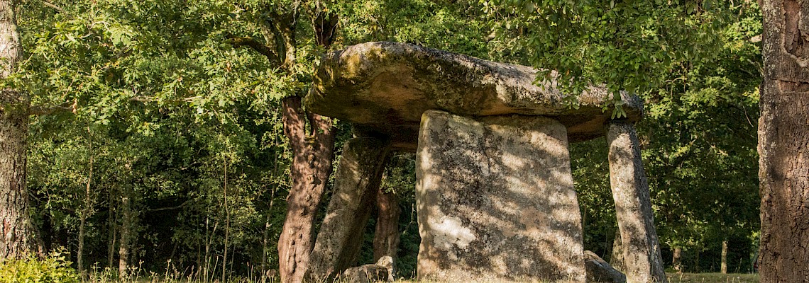 Caminhos com Alma - Oliveira de Frades