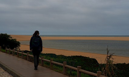 Lagoa de Albufeira - entre o verde e o azul