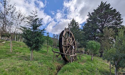 Bosques e Levadas de Amarante