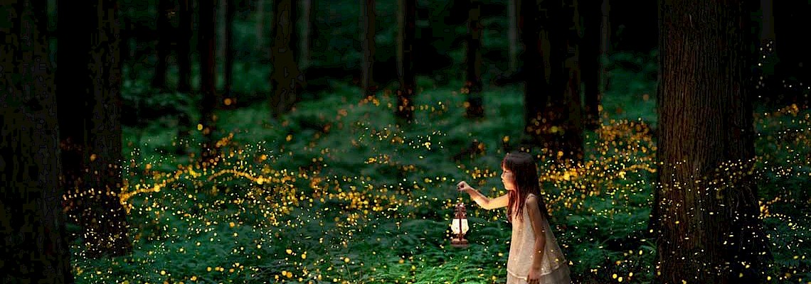 Pirilampos na Praia Fluvial dos Olhos D`Água do Alviela - 2ª Edição