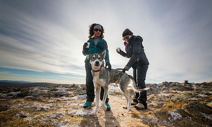 Dog Trekking nas arribas da Adraga
