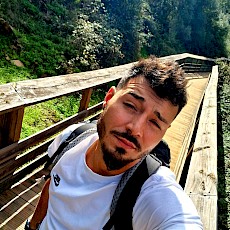 Rui Nogueira