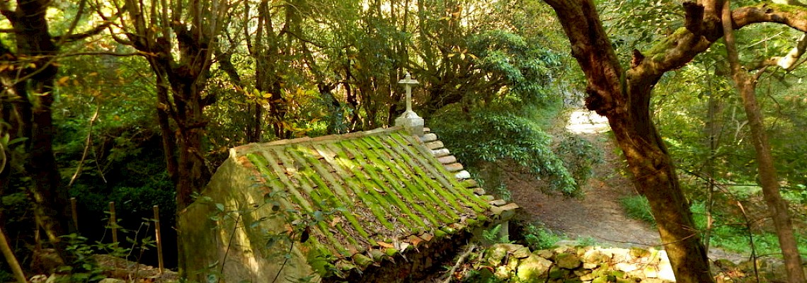 Segredos do Bosque do Penedo - Sintra