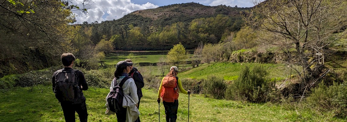 Planaltos do Alvão - Bentozelos