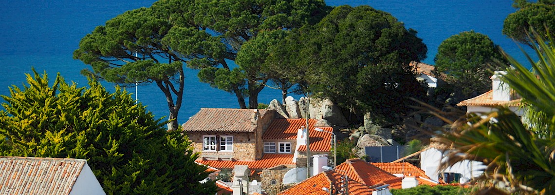 Quintas de Colares ( Sintra )