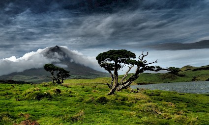 As ilhas do canal: Pico e Faial