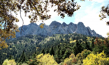 Parque Natural da Serra de Grazalema