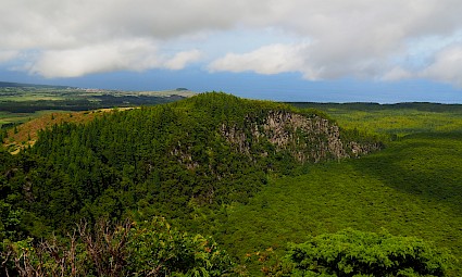 Terceira: à descoberta da Ilha Lilás