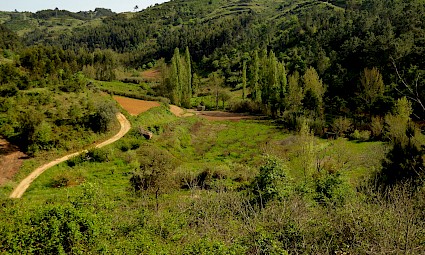 Trilho Saloio pelo Vale do Rio Cuco