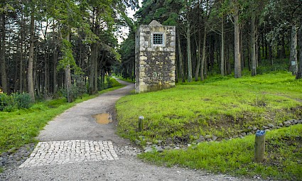 Tour Fotográfico: da Cidade ao Monsanto
