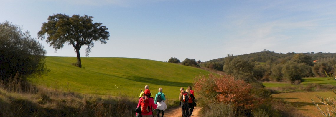 Caminhos de Fátima - Rota do Tejo - Etapa 5
