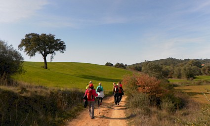 Caminhos de Fátima - Rota do Tejo - Etapa 5