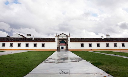 Cartuxa: entre provas de vinhos e caminhadas (Évora)