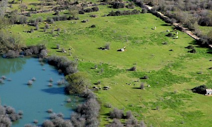 Pelos Lagoeiros de Mira - Minde