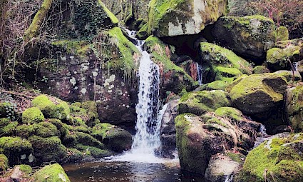 Rota dos Laranjais/Serra do Caramulo