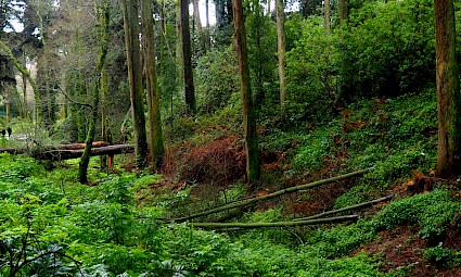 1ª Caminhada do Ano - Sintra Radical