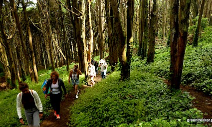 Caminhada sensorial no Bosque do Siêncio