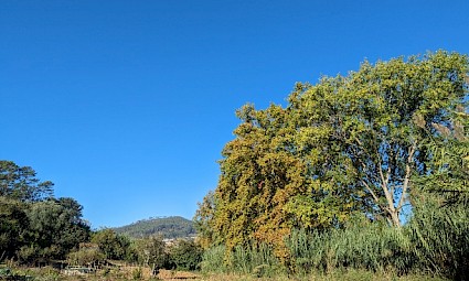 Trilhos do Gradil - Mafra