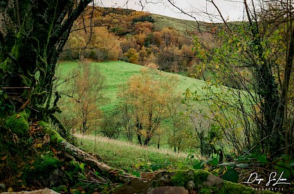 Serra do Courel - Cordilheira Cantábrica