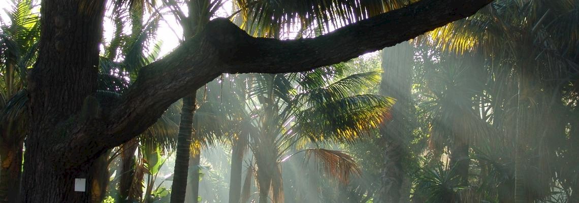 Jardins Históricos de Lisboa