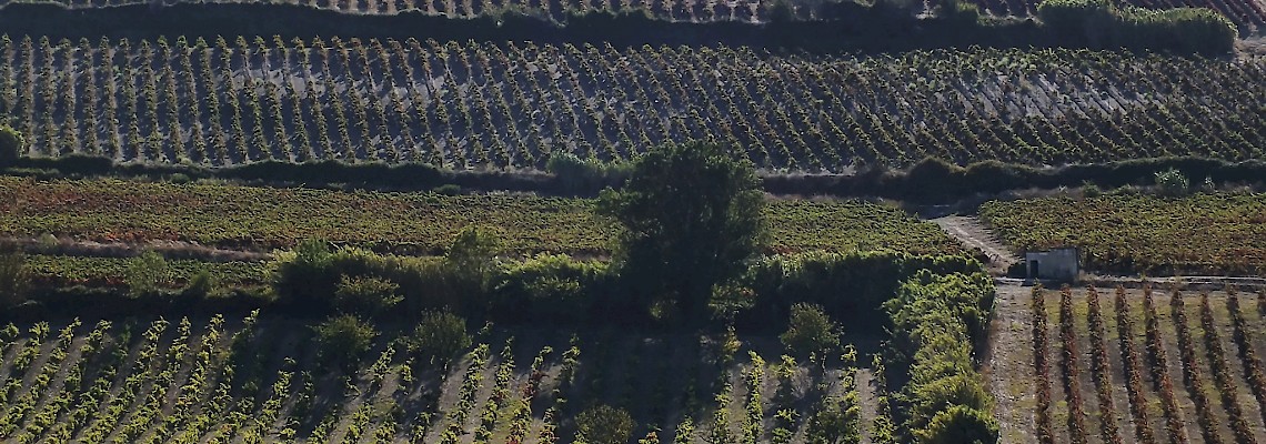 Na Rota da Acrópole / Alenquer