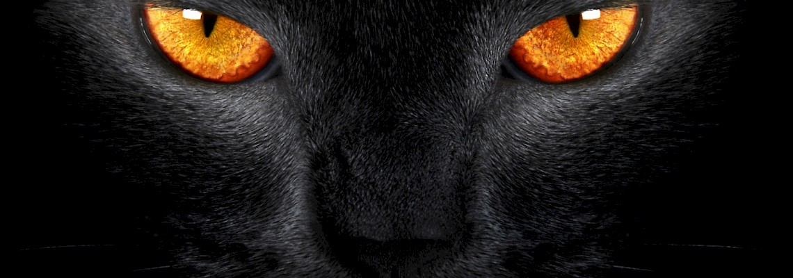 Caminhada de Sexta-Feira 13 na Vila de Sintra