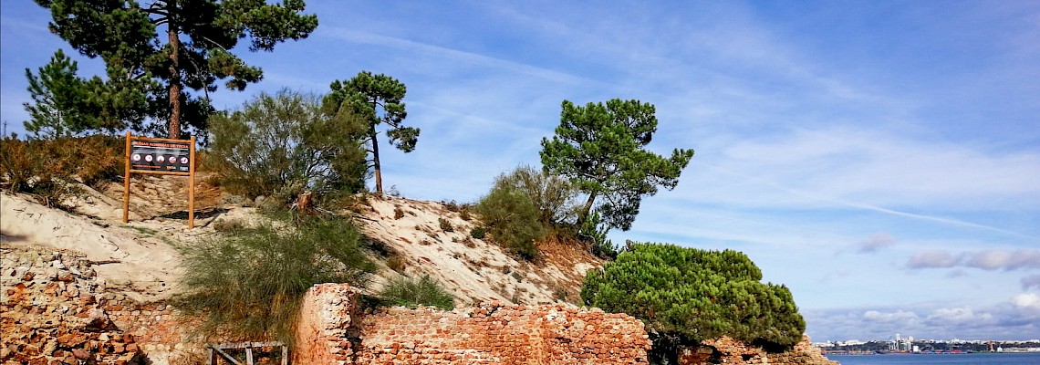 À descoberta da Península de Tróia