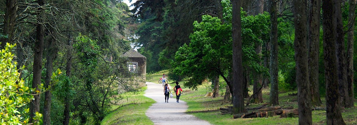 Rota da Água/Parque Florestal de Monsanto