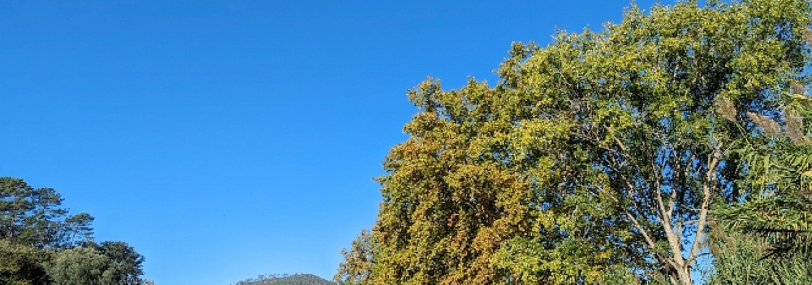 Trilhos do Gradil - Mafra