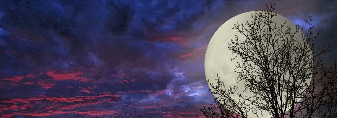 As Maias - Caminhada noturna na Aldeia de Broas