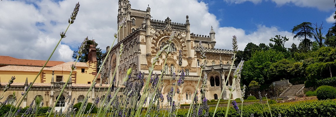 Fim de semana vínico na Bairrada