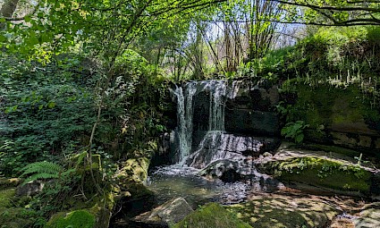 Trilhos da Serra da Aboboreira