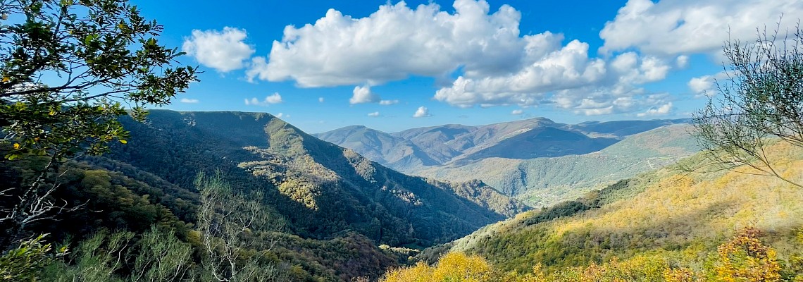 Cordilheira Cantábrica - Bosques ancestrais do Courel a Terra do Urso Pardo