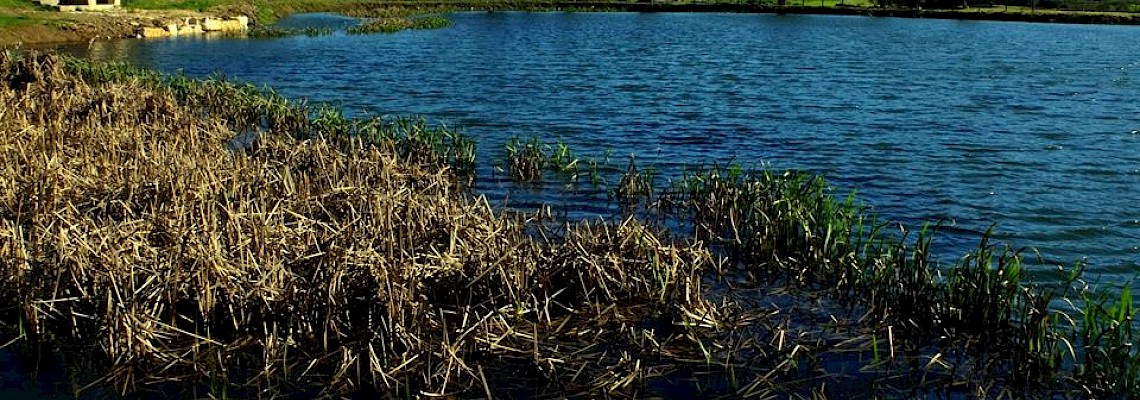 Lagoas do Arrimal á Serra da Lua