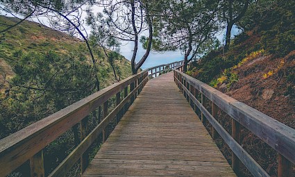 Entre a Ribeira da Mata e as Azenhas do Mar
