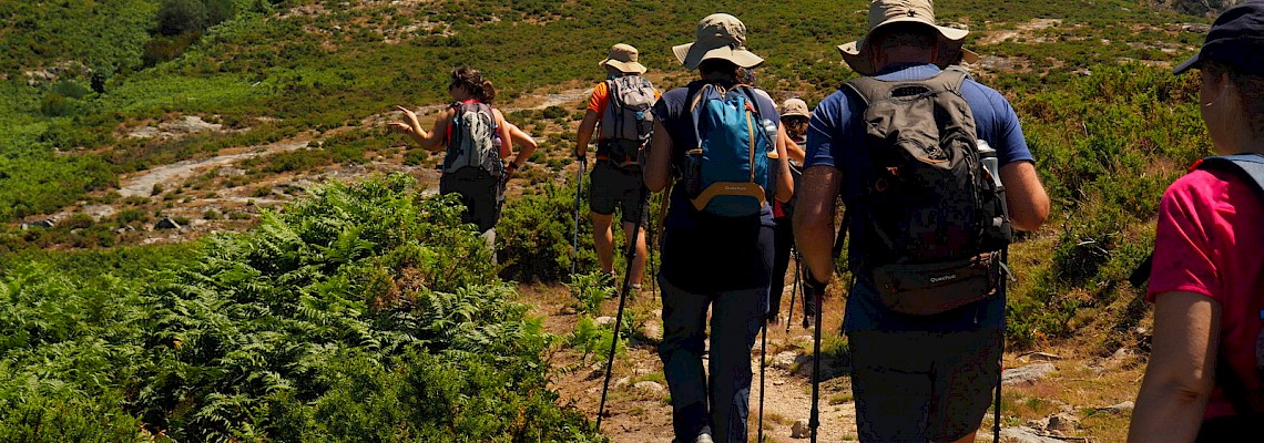 Trilho do Glaciar e do Alto Vez