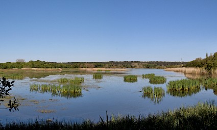 Os segredos da Lagoa de Santo André